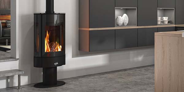 Godin Carvin 2 kamiina